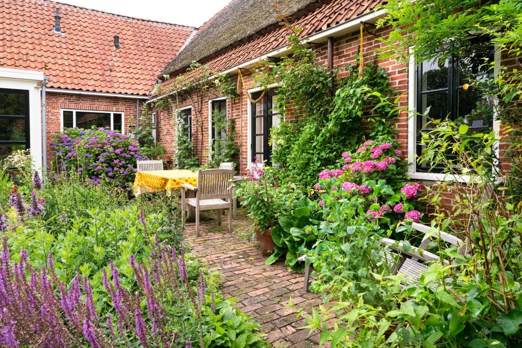 Een tuin met veel planten en bloemen