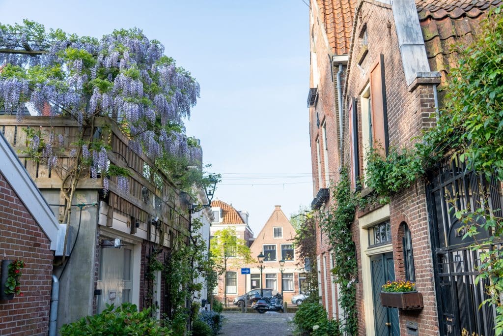 Een smalle straat met huizen en veel groene geveltuinen en plantenEen smalle straat met huizen en veel groene geveltuinen en planten